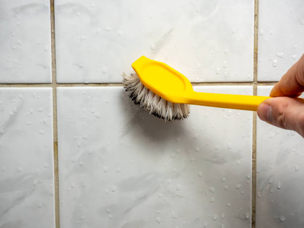 Trusted Monona, WI Mold Removal Experts