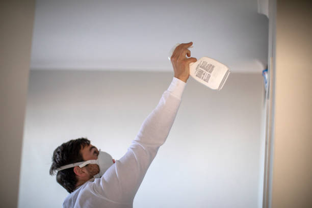 Best Emergency Mold Removal  in Monona, WI